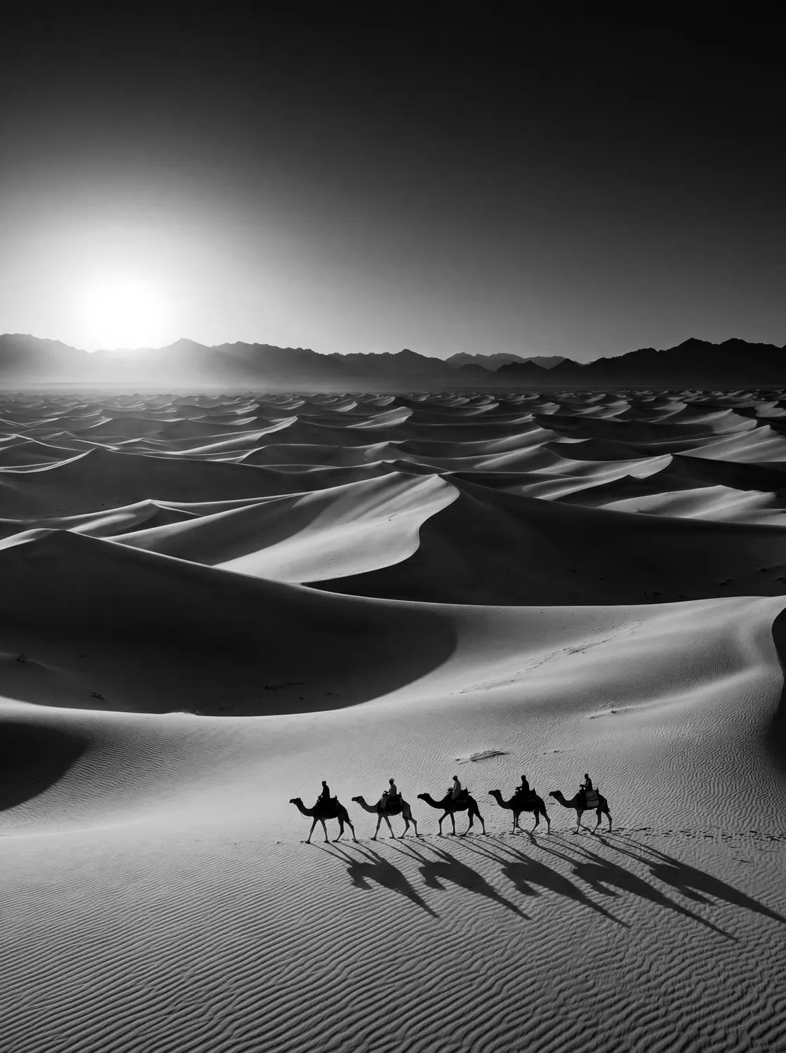 Tableau Le Sahara | en Métal Format A3