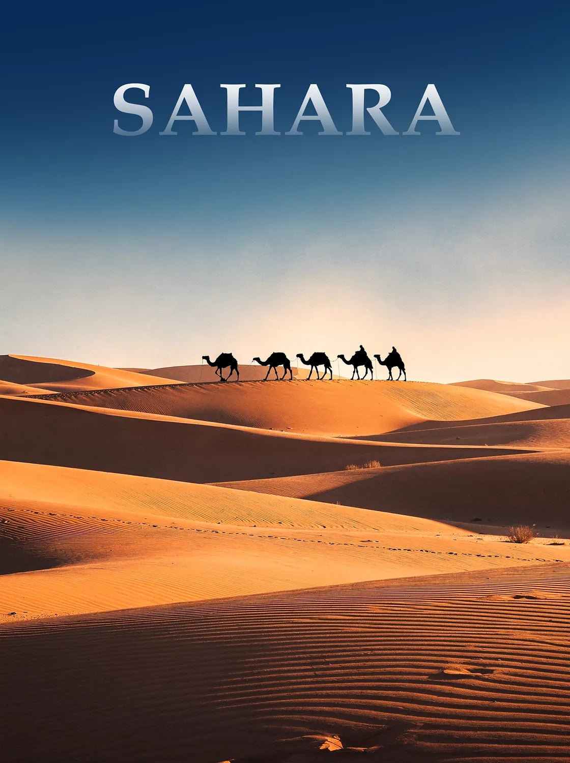 Tableau Sahara - Illustration | en Métal Format A3