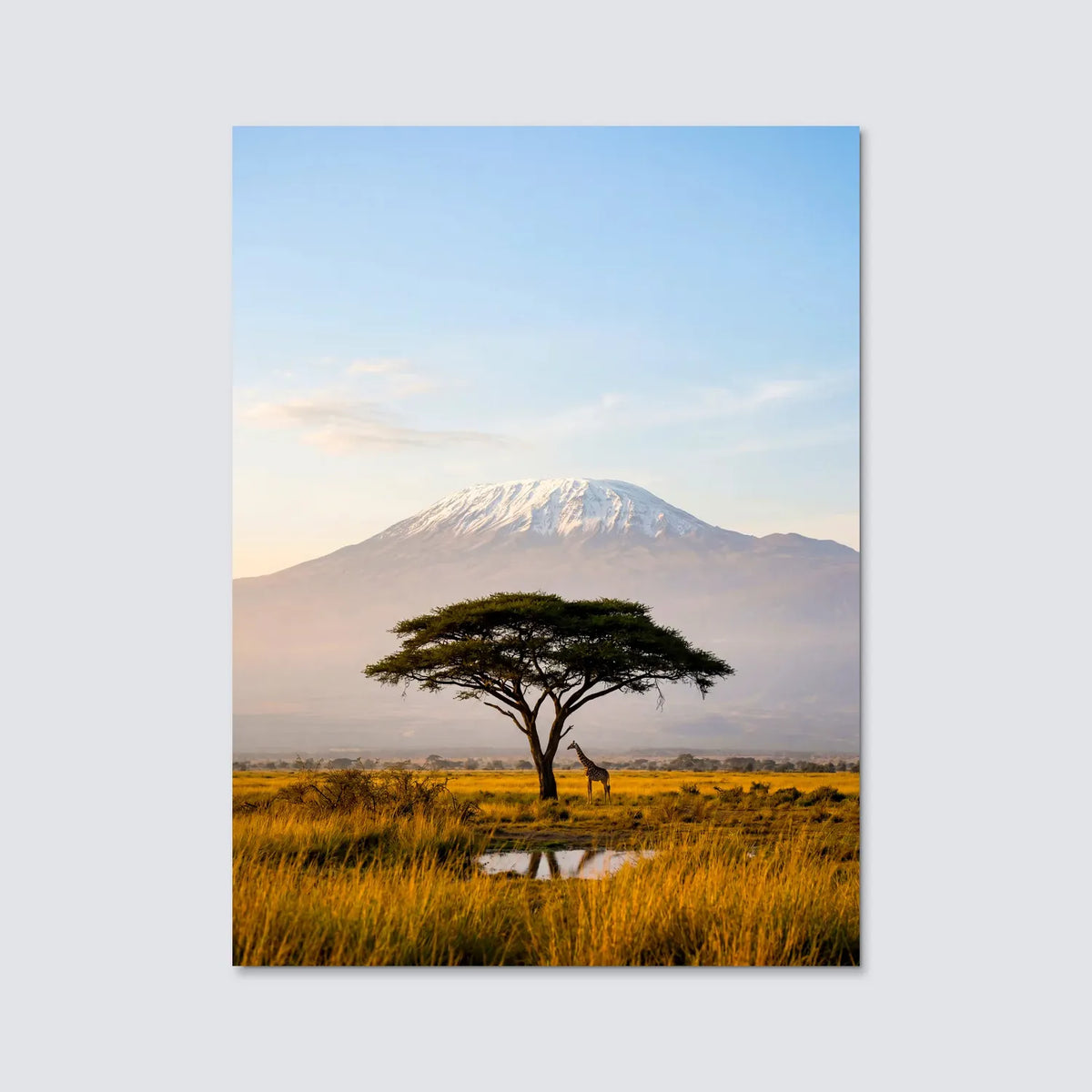 Tableau Savane | en Métal Format A3