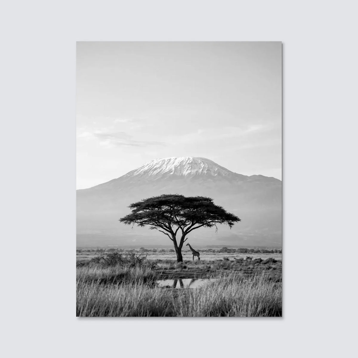 Tableau La Savane | en Métal Format A3