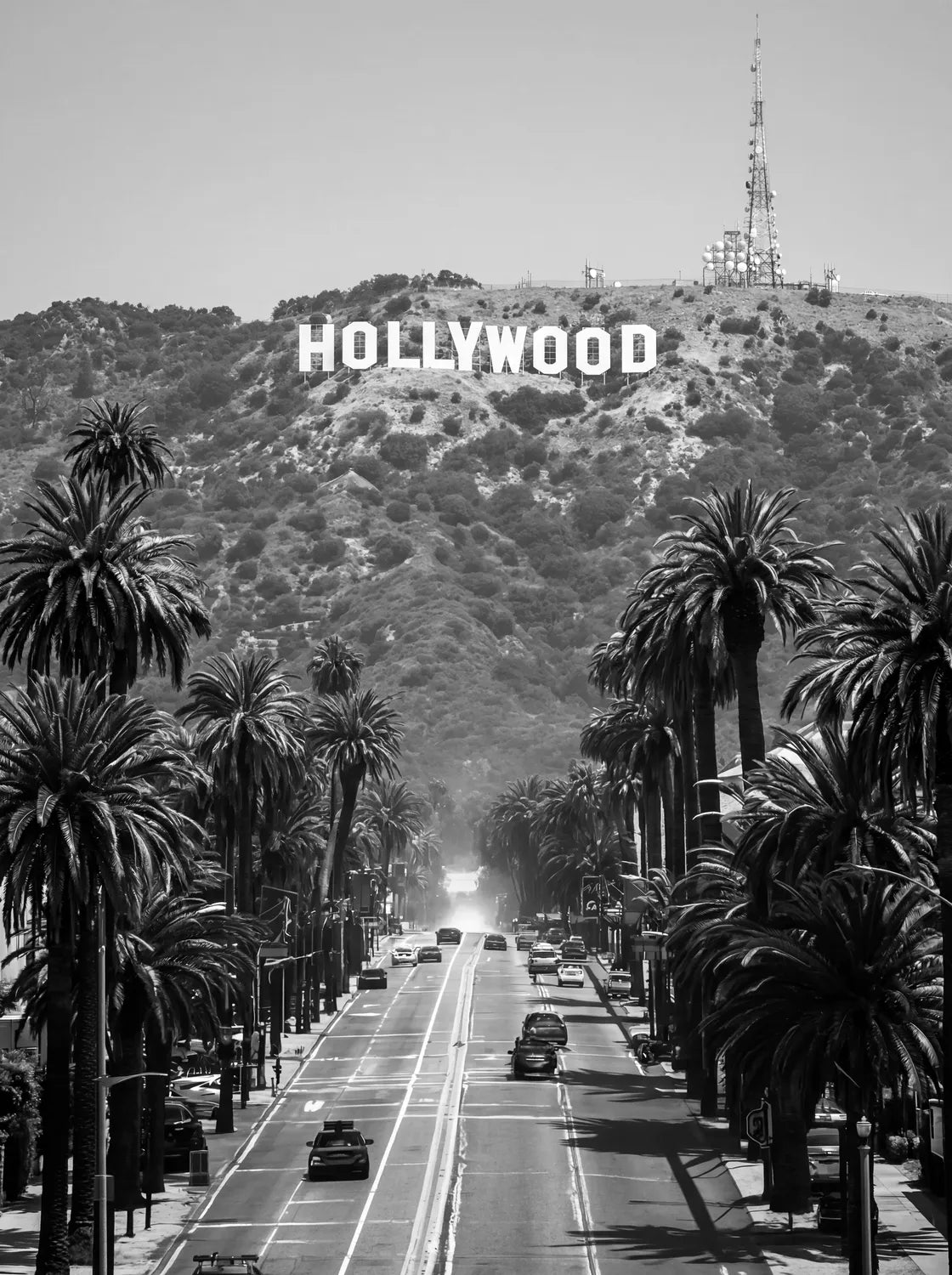 Tableau Hollywood Sign Los Angeles N&B | en Métal Format A3