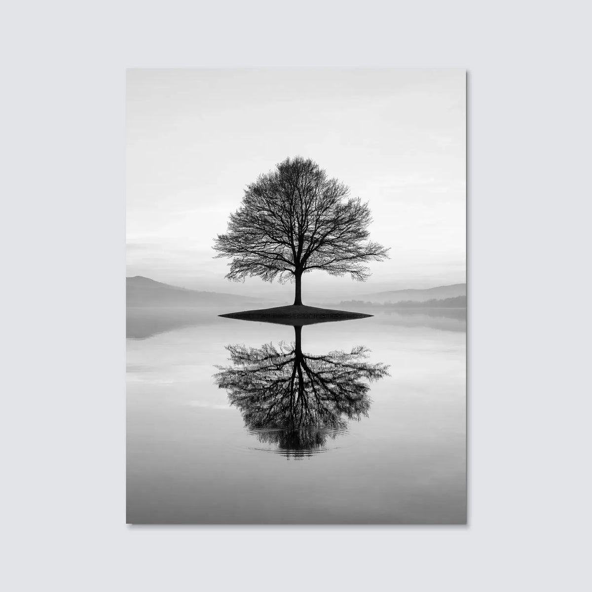 Tableau Reflet naturel N&B | en Métal Format A3