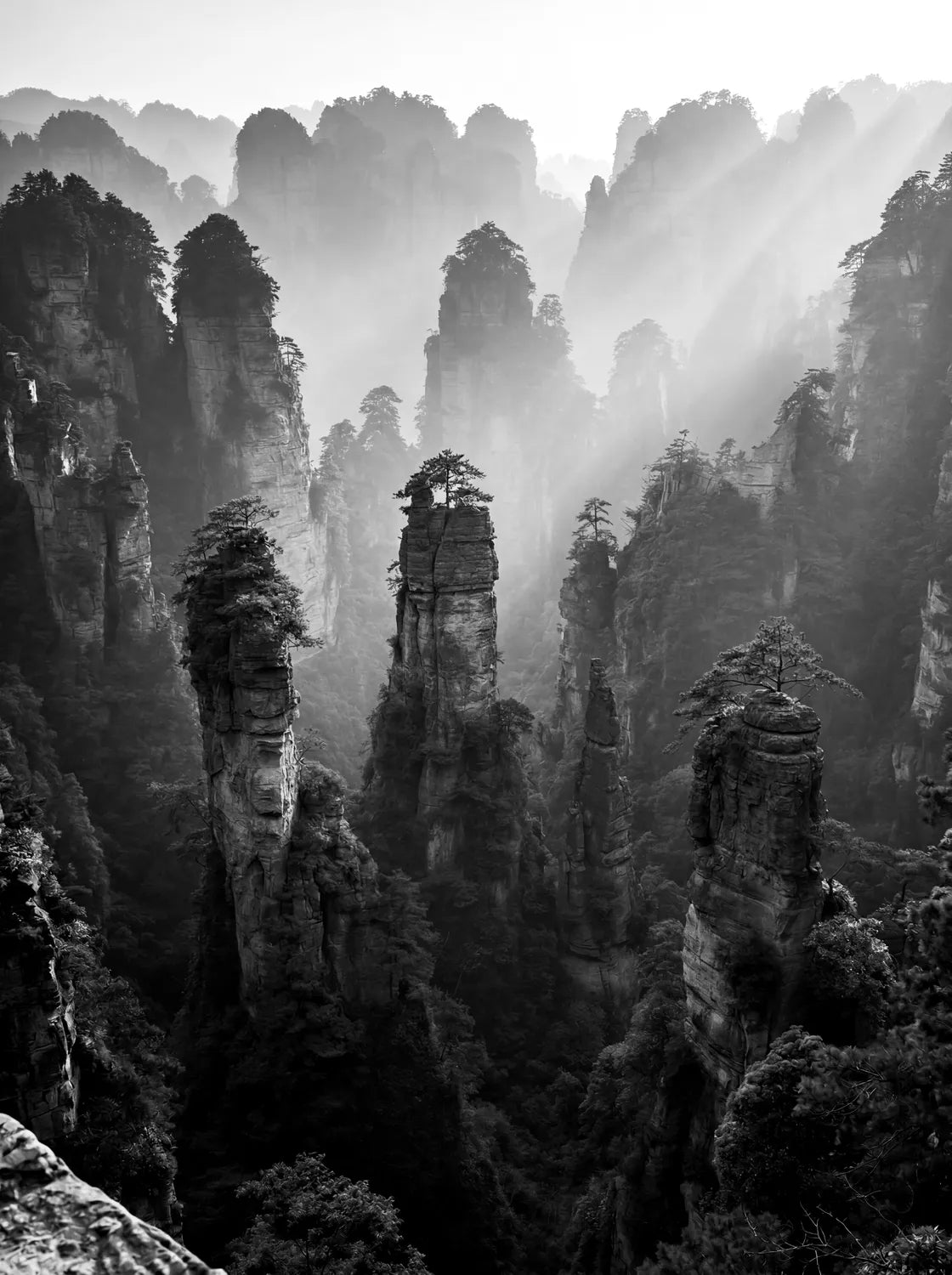 Tableau Monts Tianzi de Zhangjiajie | en Métal Format A3