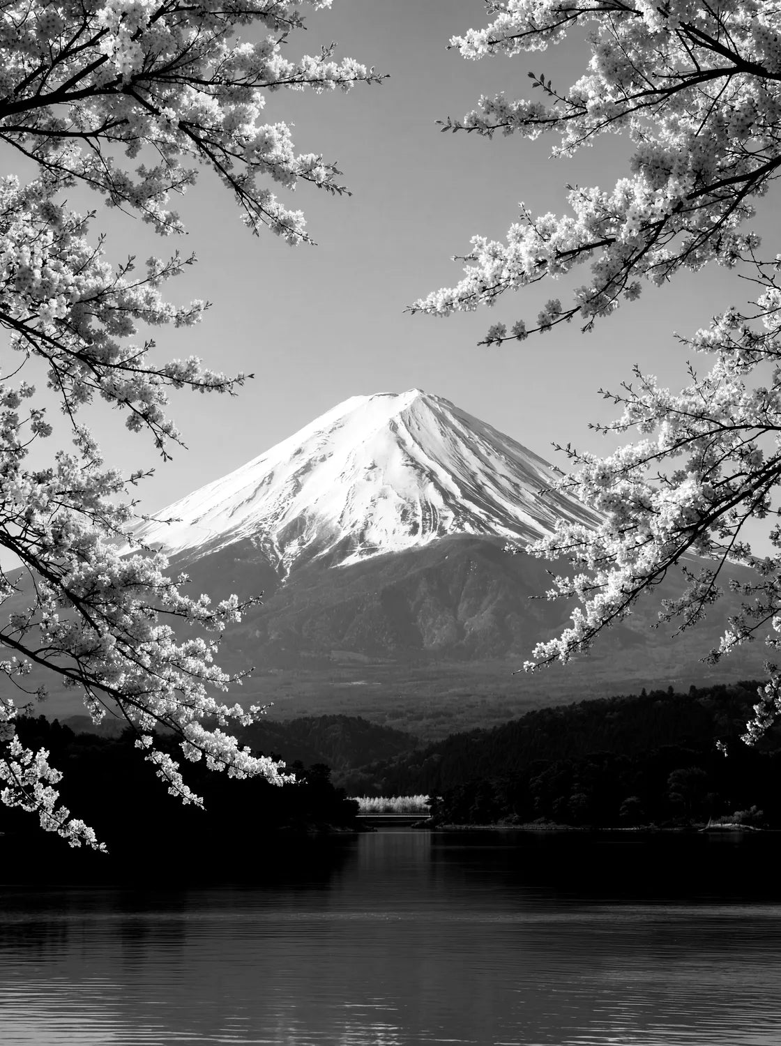 Tableau Mont Fuji Japon | en Métal Format A3