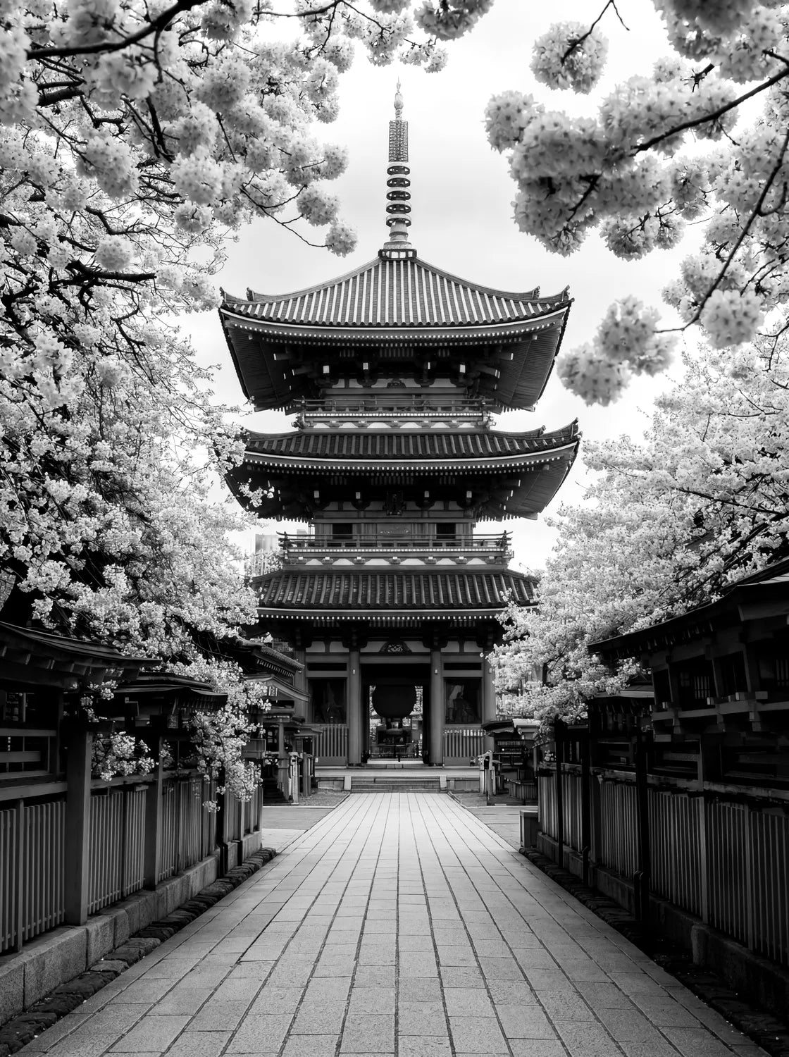 Tableau Temple Bouddhiste au Japon | en Métal Format A3