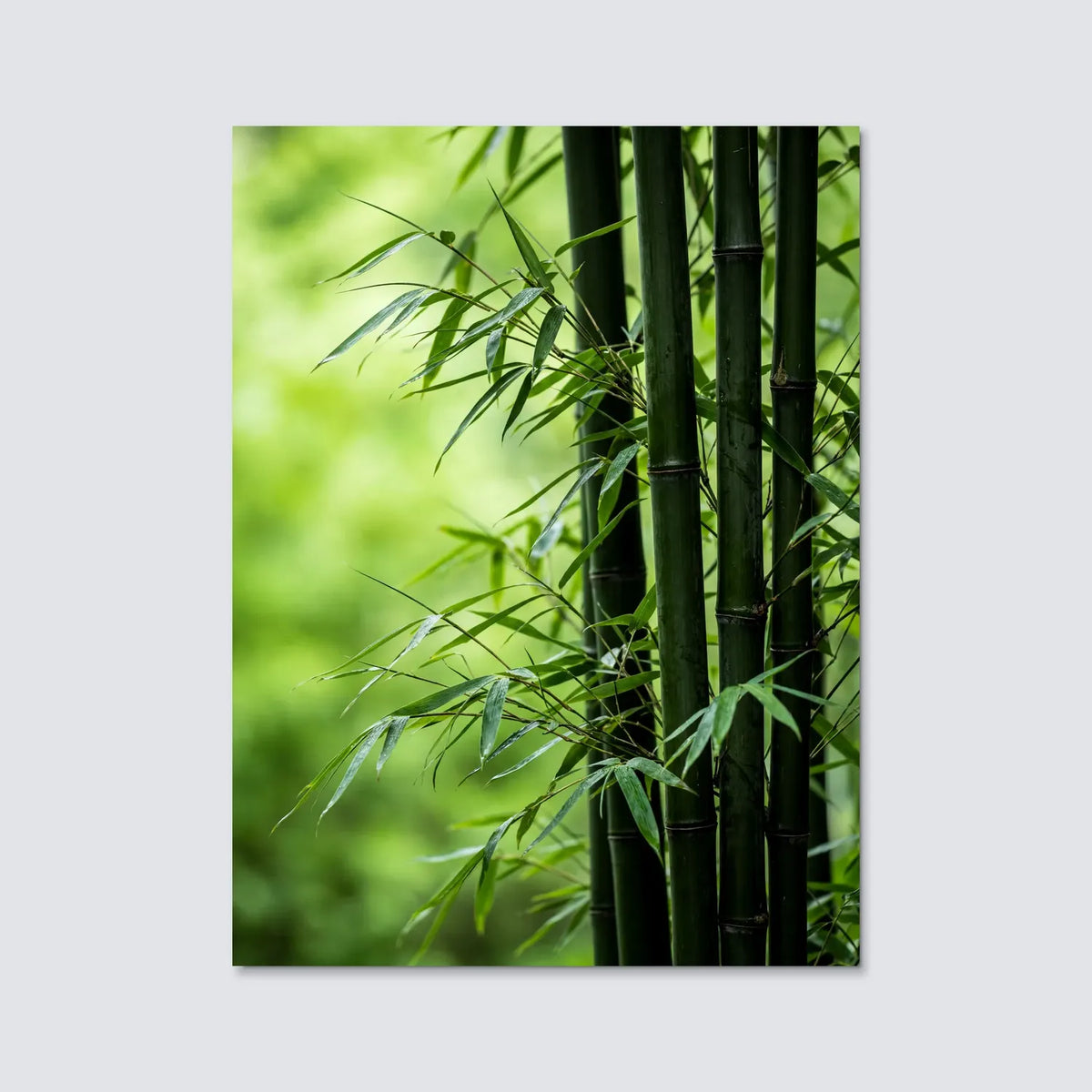 Tableau Bambous | en Métal Format A3