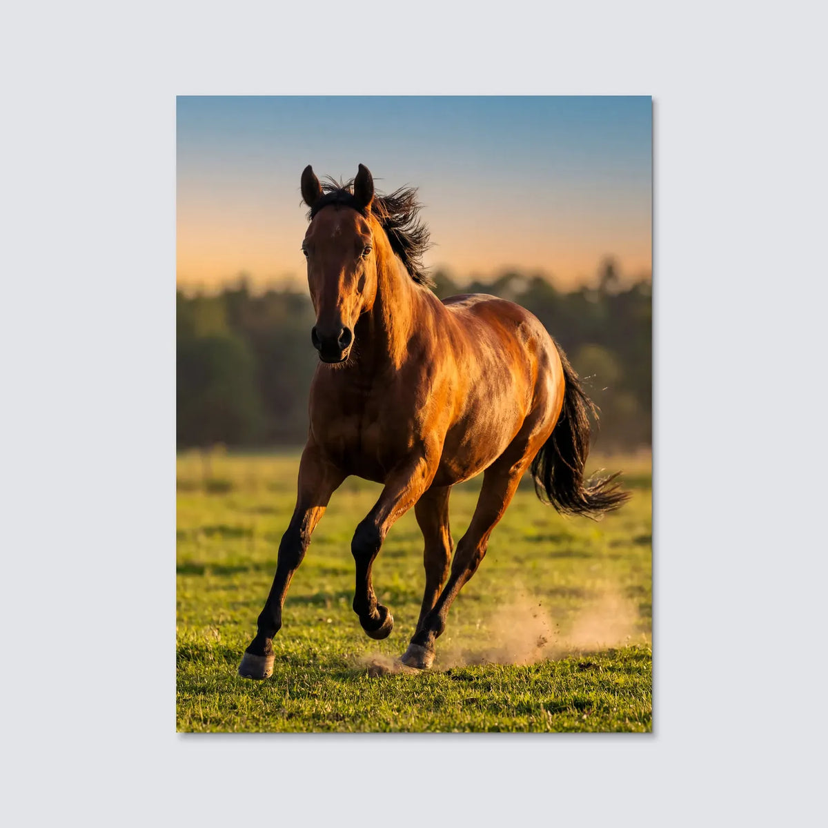 Tableau Cheval au Galop | en Métal Format A3