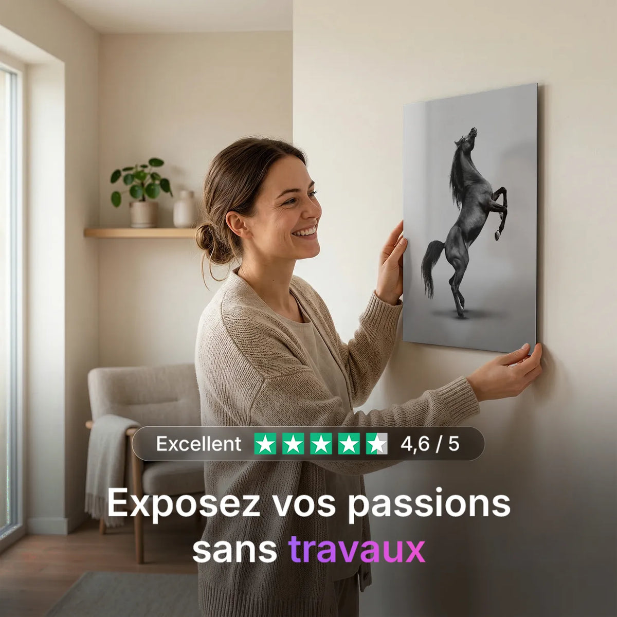 Tableau Cheval Noir Cabré | en Métal Format A3