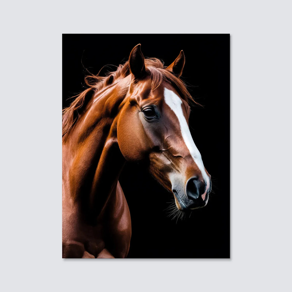 Tableau Portrait de Cheval | en Métal Format A3