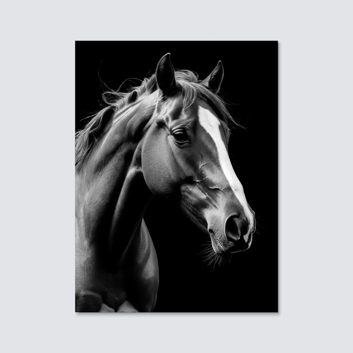 Tableau Portrait de Cheval N&B | en Métal Format A3