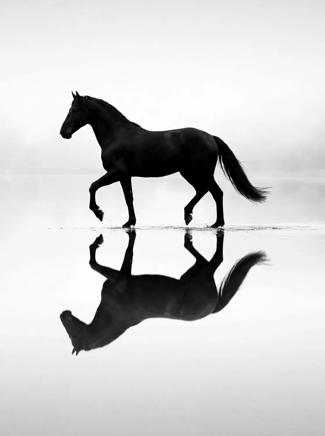 Tableau Cheval au Miroir | en Métal Format A3