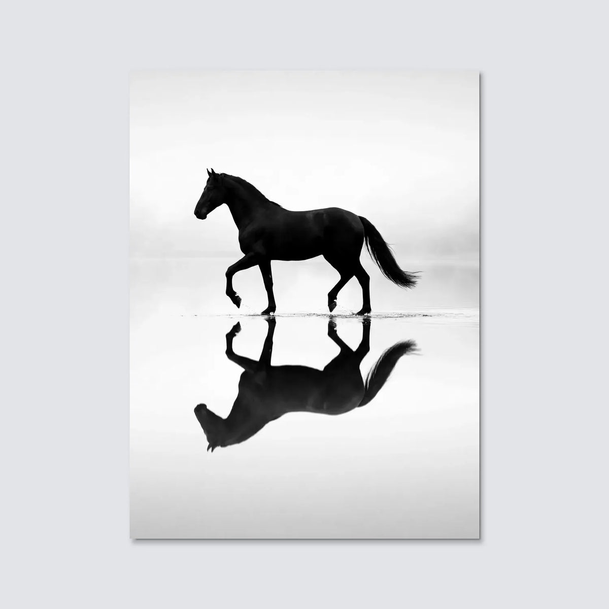 Tableau Cheval au Miroir | en Métal Format A3