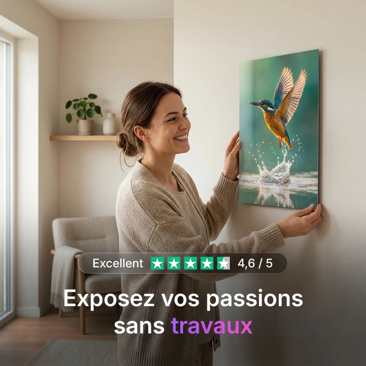Tableau Colibri en Vol | en Métal Format A3