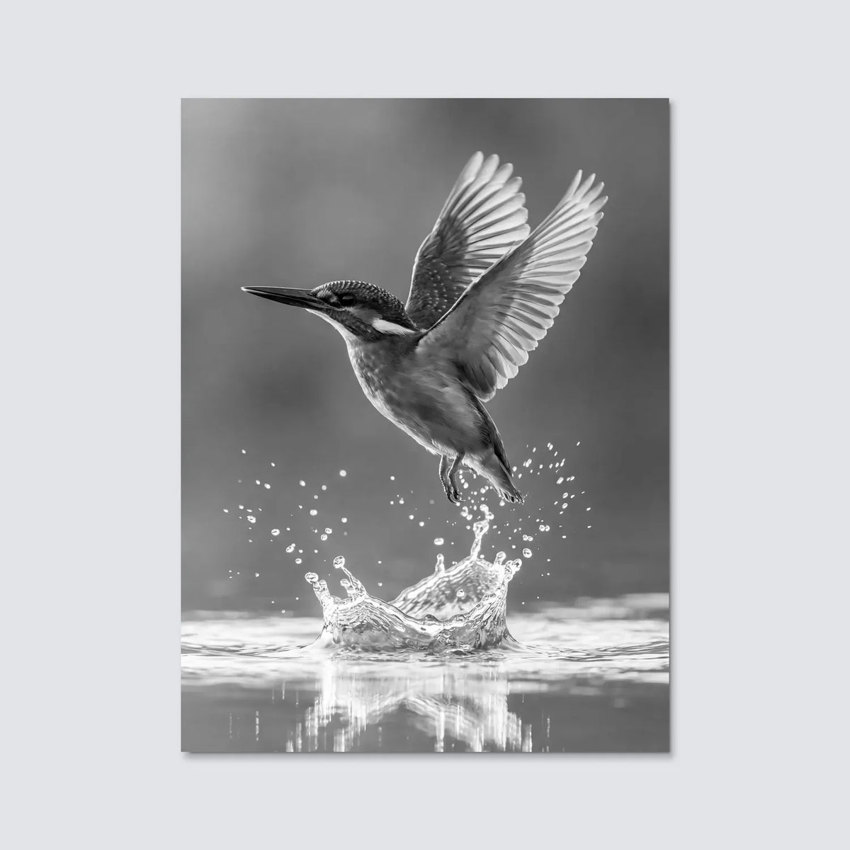 Tableau Colibri en Vol N&B | en Métal Format A3