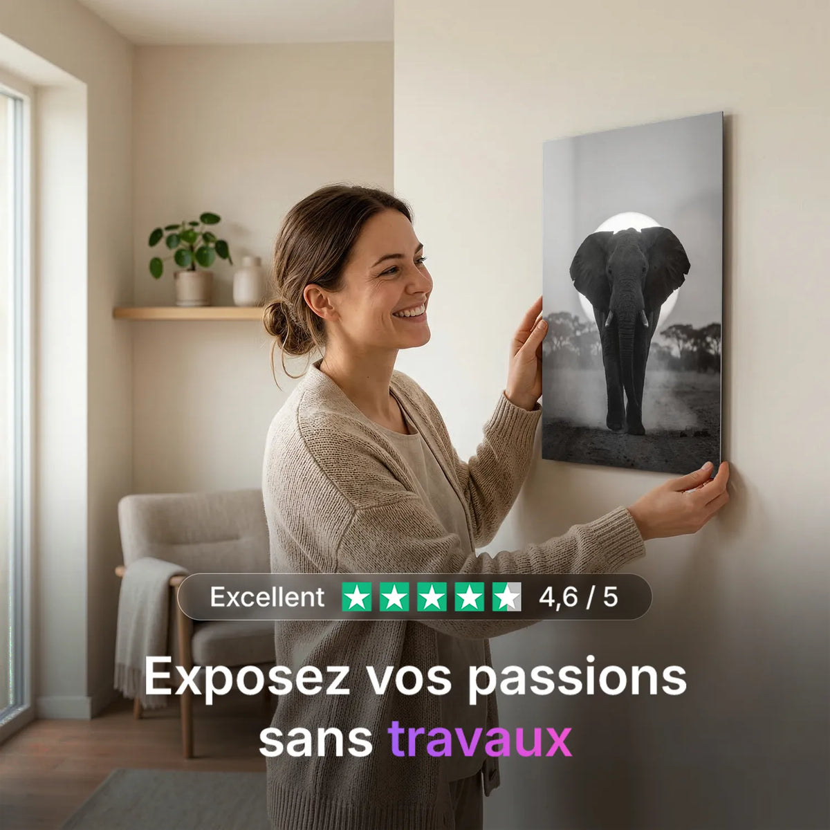 Tableau Éléphant au Soleil Couchant N&B | en Métal Format A3