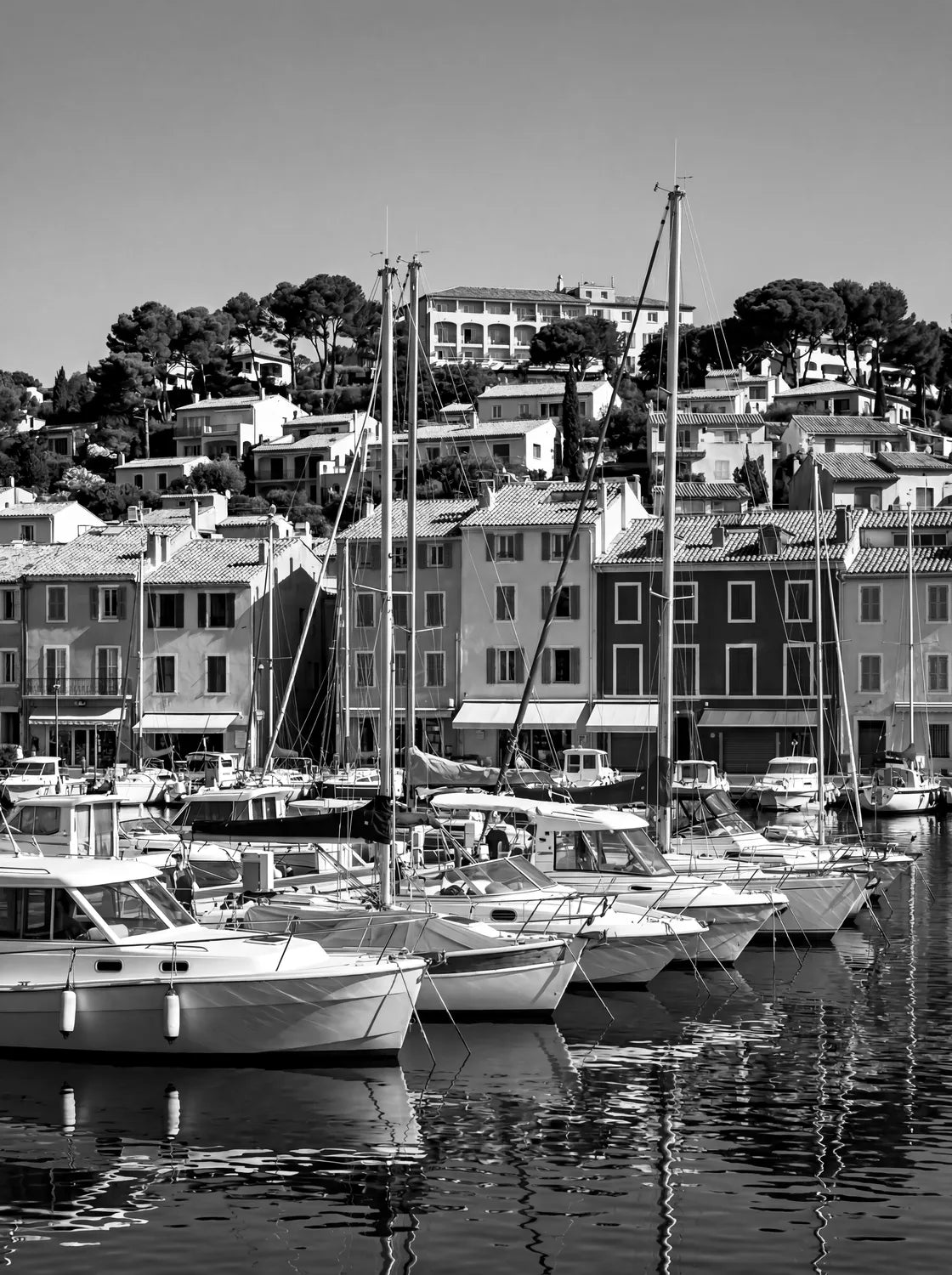 Tableau Cassis N&B | en Métal Format A3