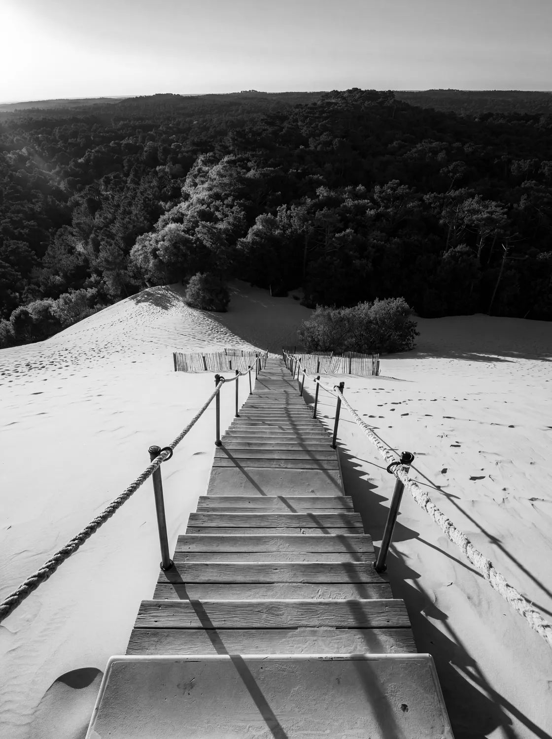 Tableau La Dune du Pilat N&B | en Métal Format A3