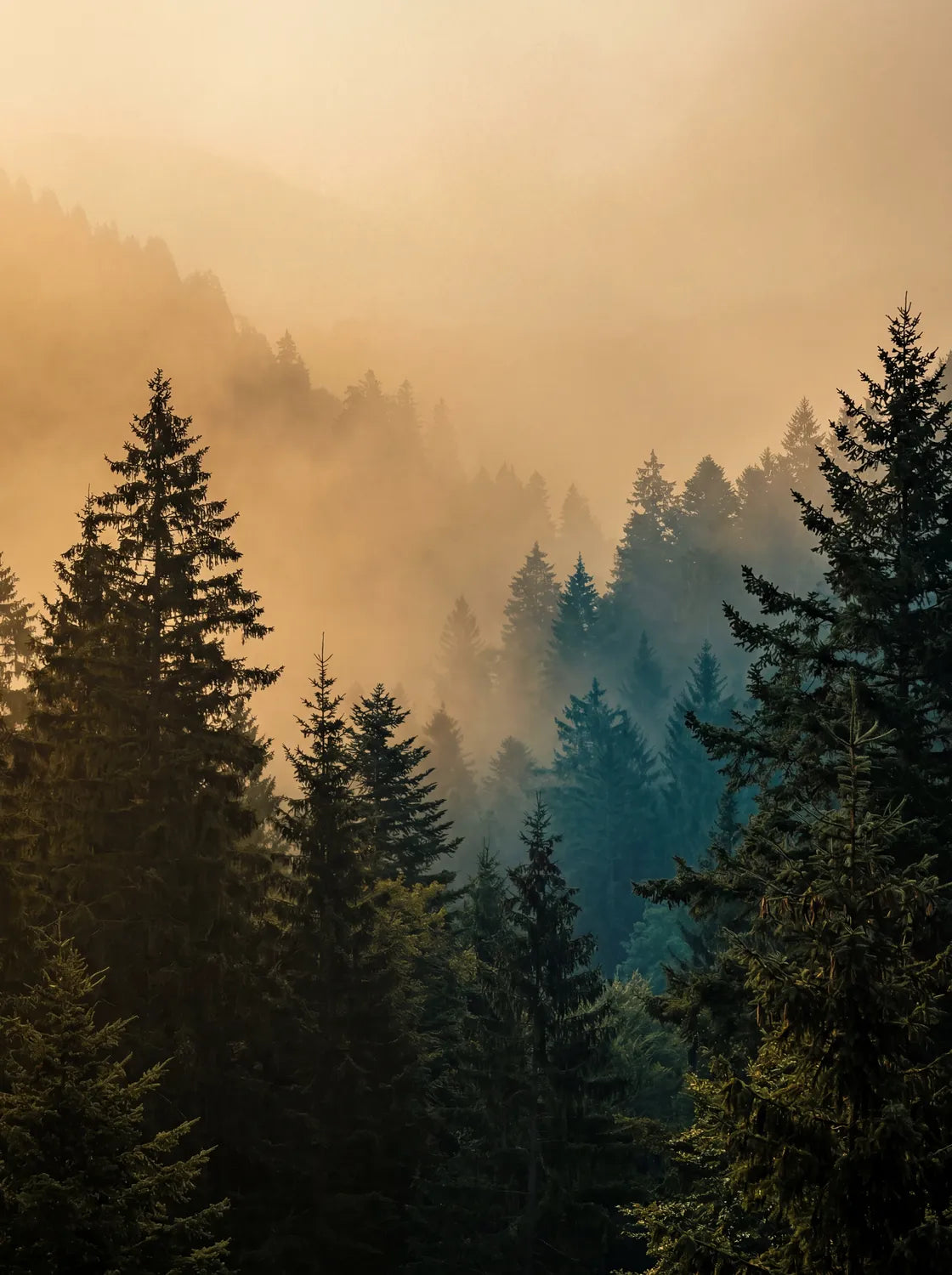 Tableau Brume | en Métal Format A3