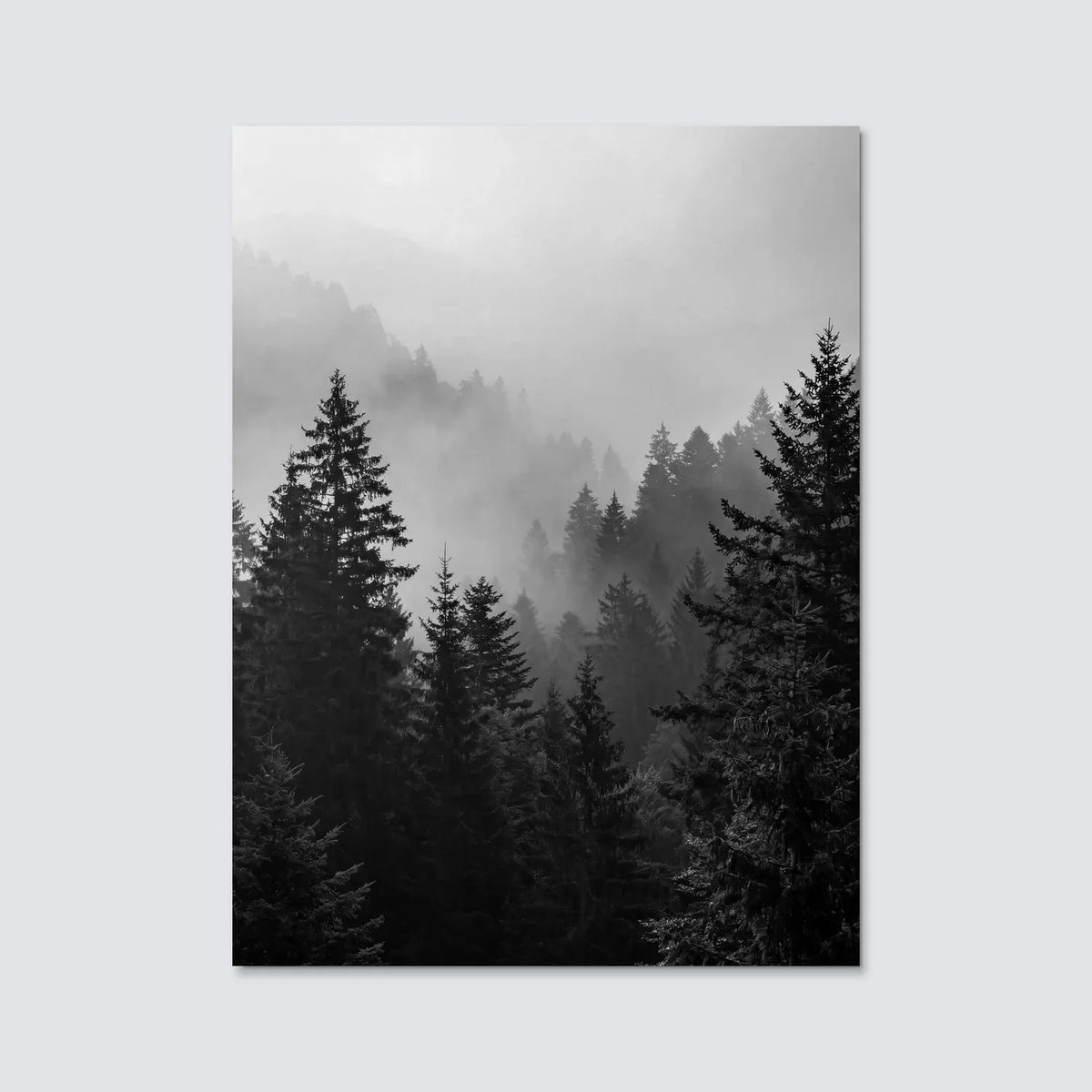 Tableau Brume N&B | en Métal Format A3