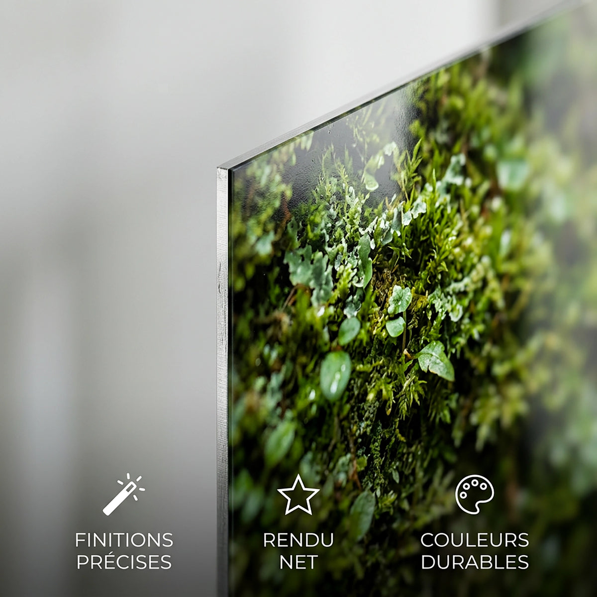 Tableau Vénus | en Métal Format A3