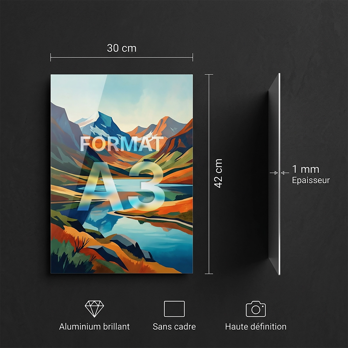 Tableau Vénus | en Métal Format A3