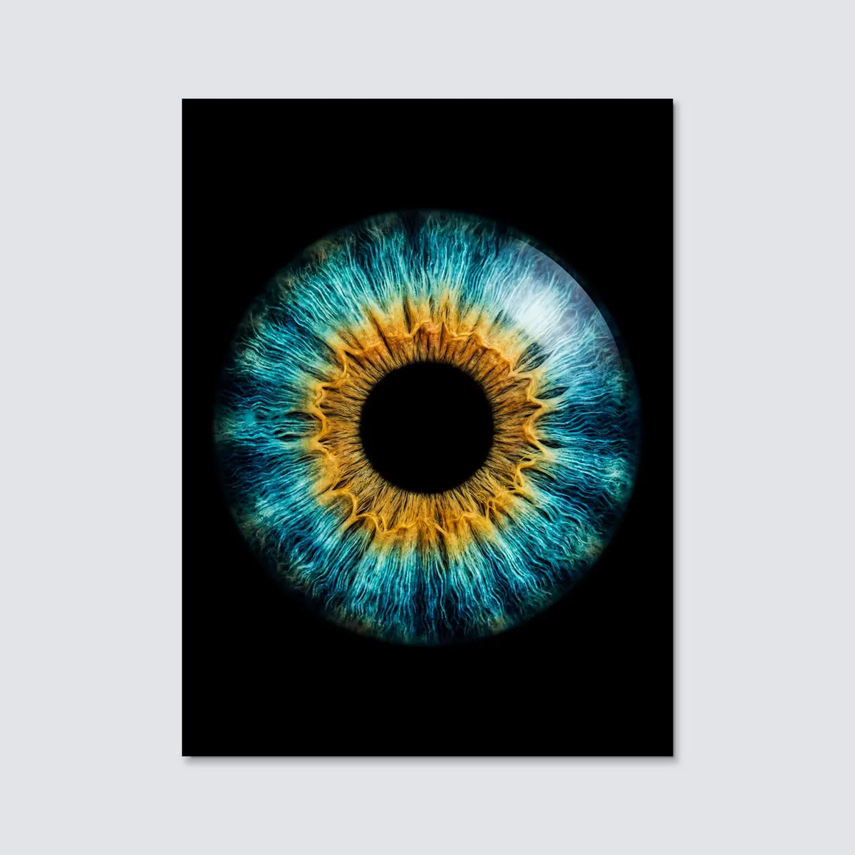 Tableau Iris bleu | en Métal Format A3