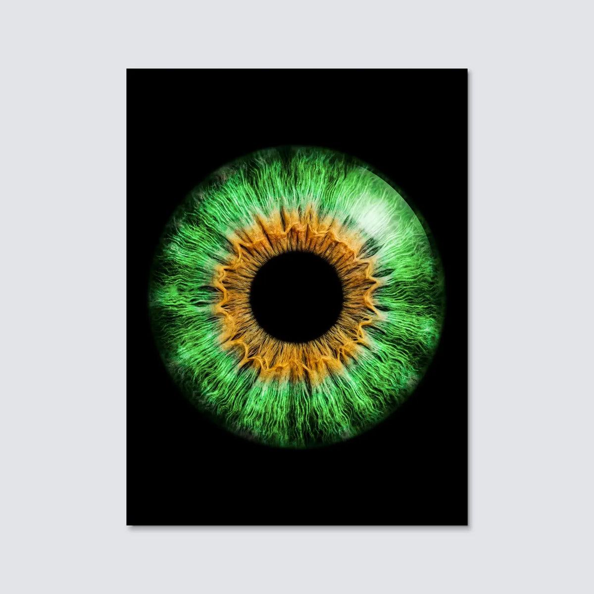 Tableau Iris vert | en Métal Format A3