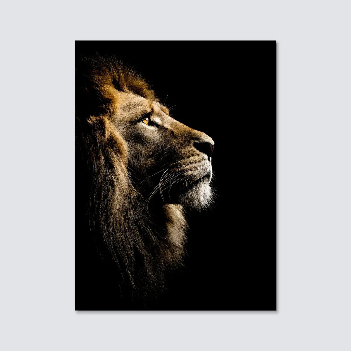 Tableau Le Roi de la Jungle | en Métal Format A3