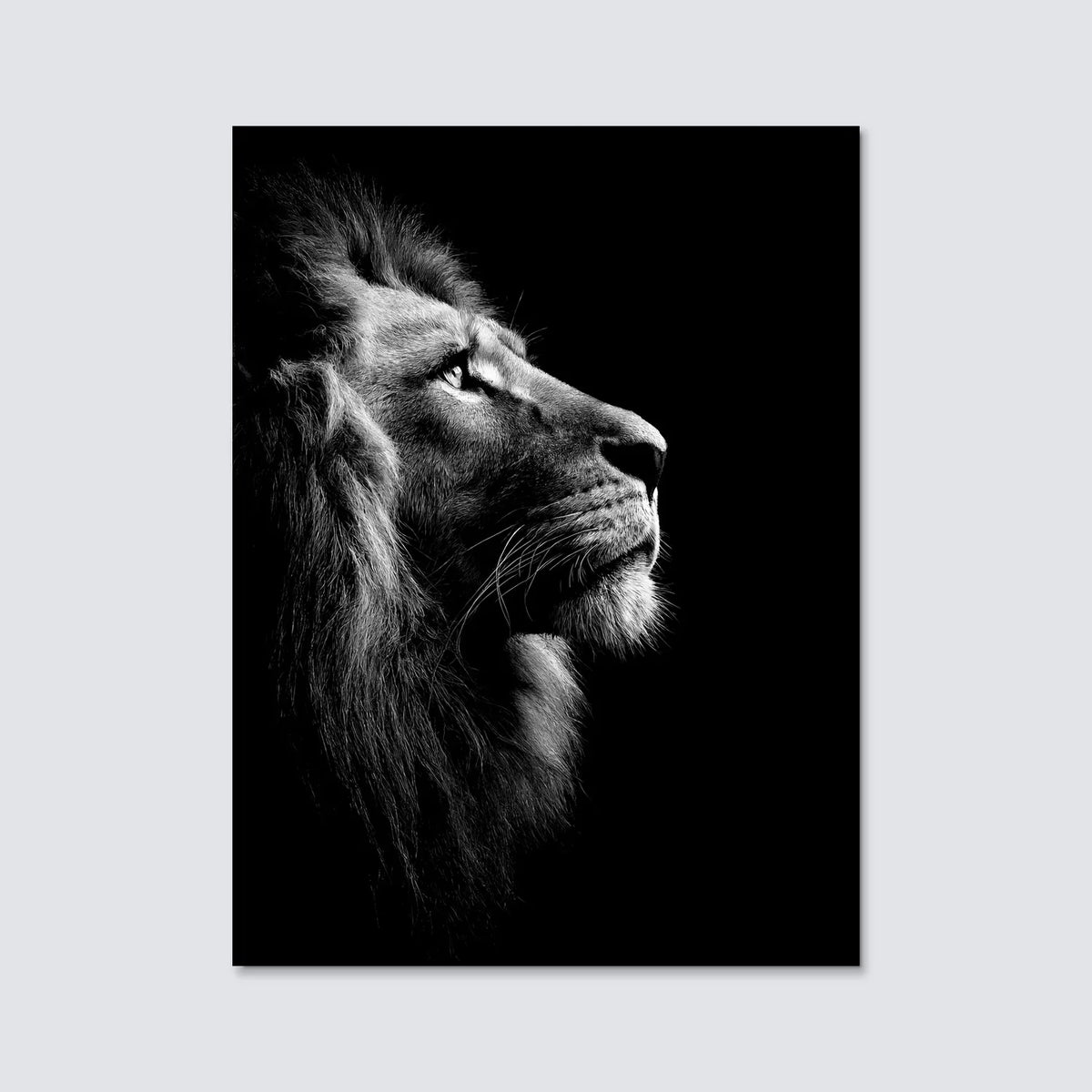 Tableau Le Roi de la Jungle N&B | en Métal Format A3