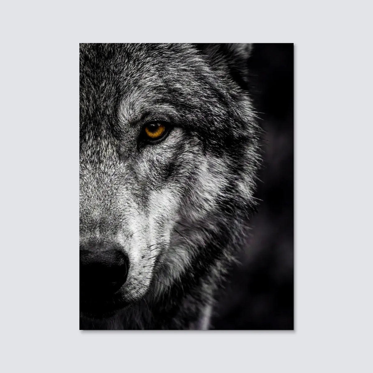 Tableau Loup Portrait | en Métal Format A3