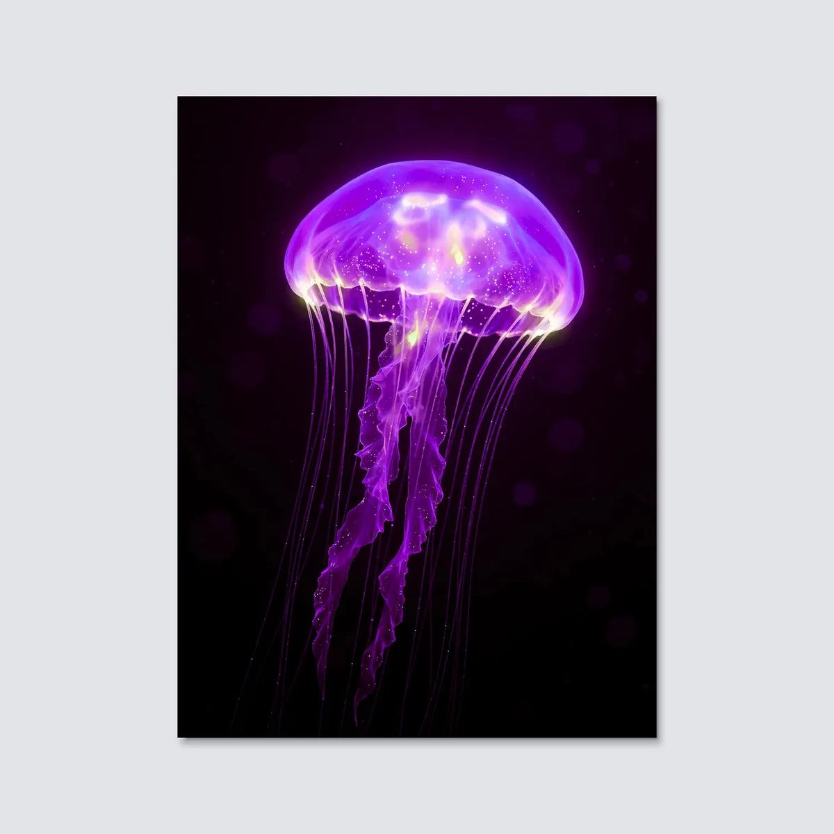 Tableau Méduse Violette | en Métal Format A3