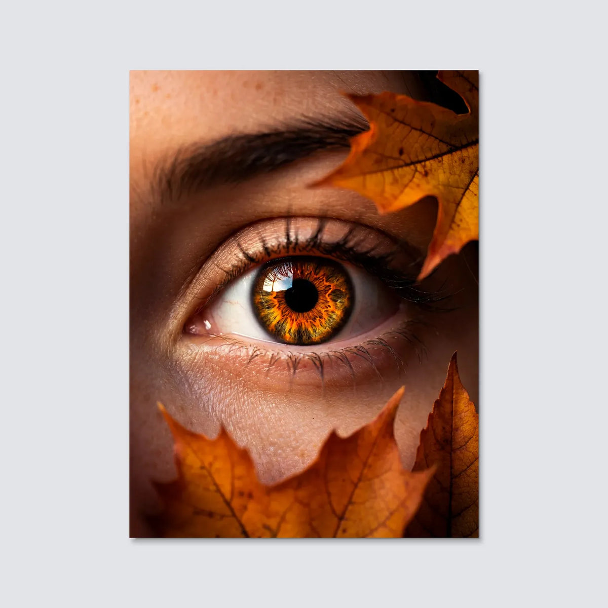Tableau Feuillage d'automne | en Métal Format A3