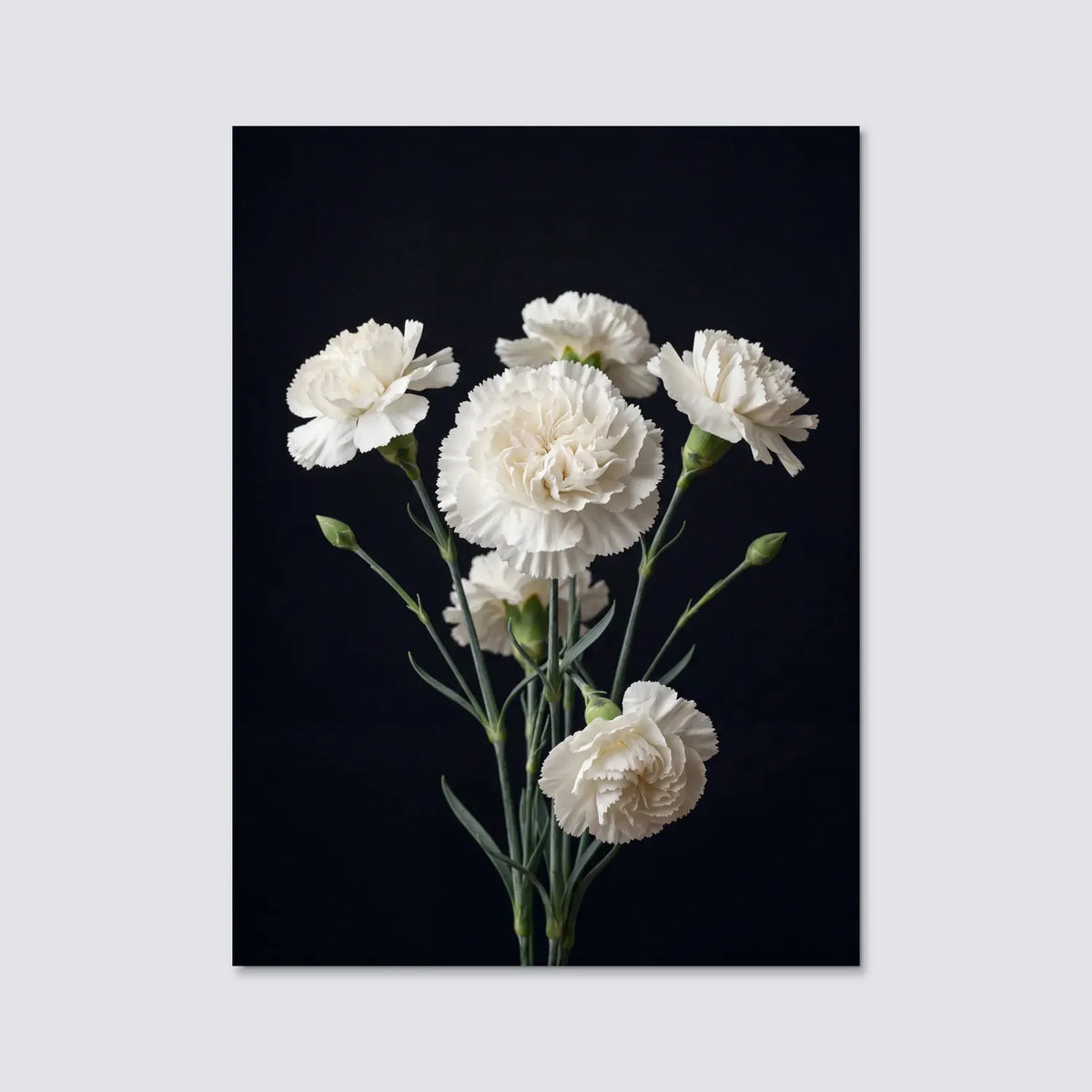 Tableau Oeillets blancs | en Métal Format A3