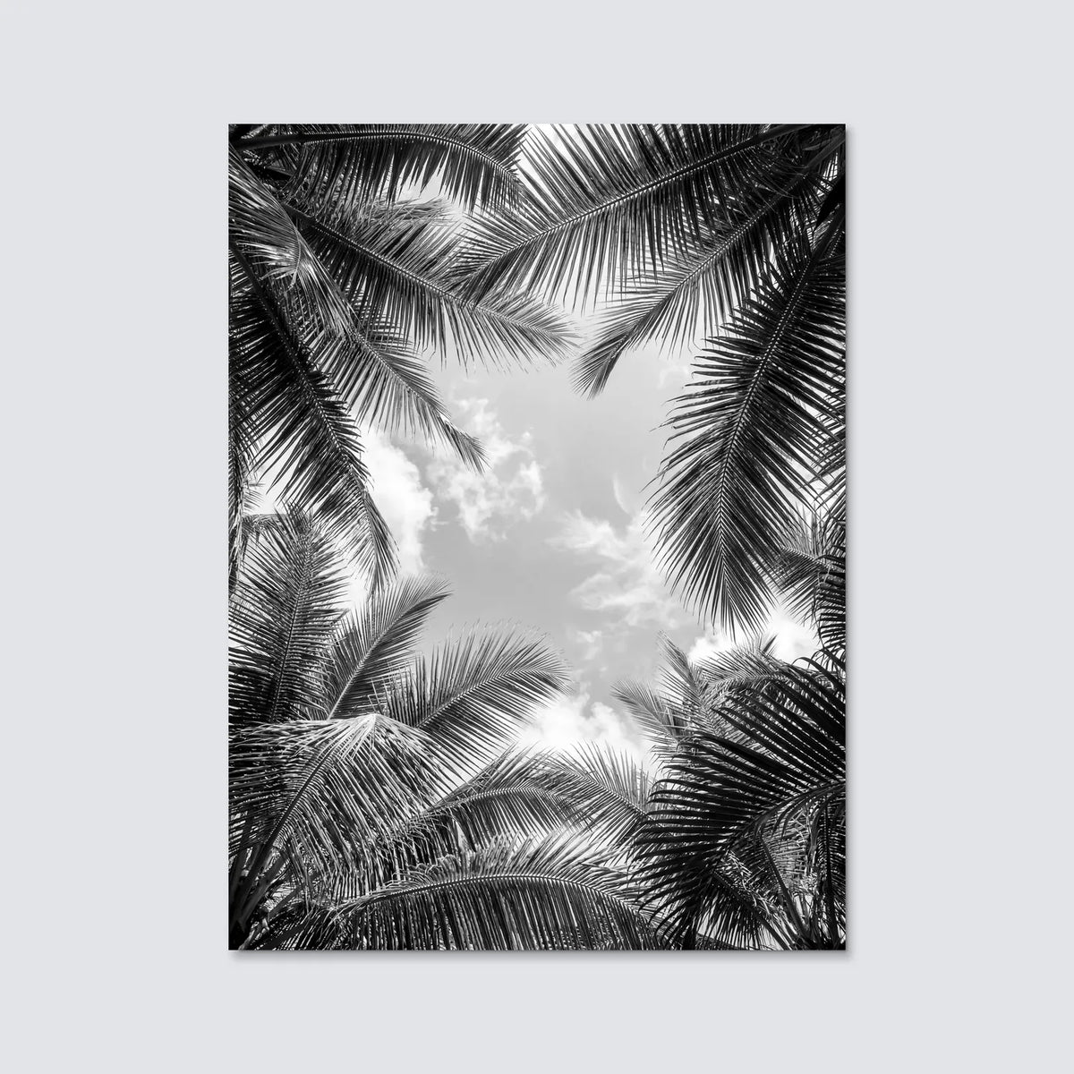 Tableau Paradis N&B | en Métal Format A3