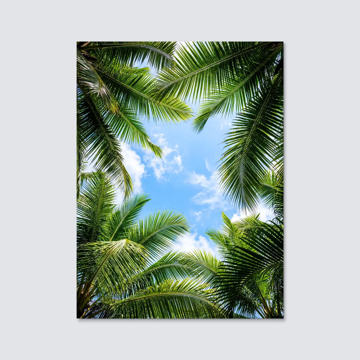 Tableau Paradis | en Métal Format A3