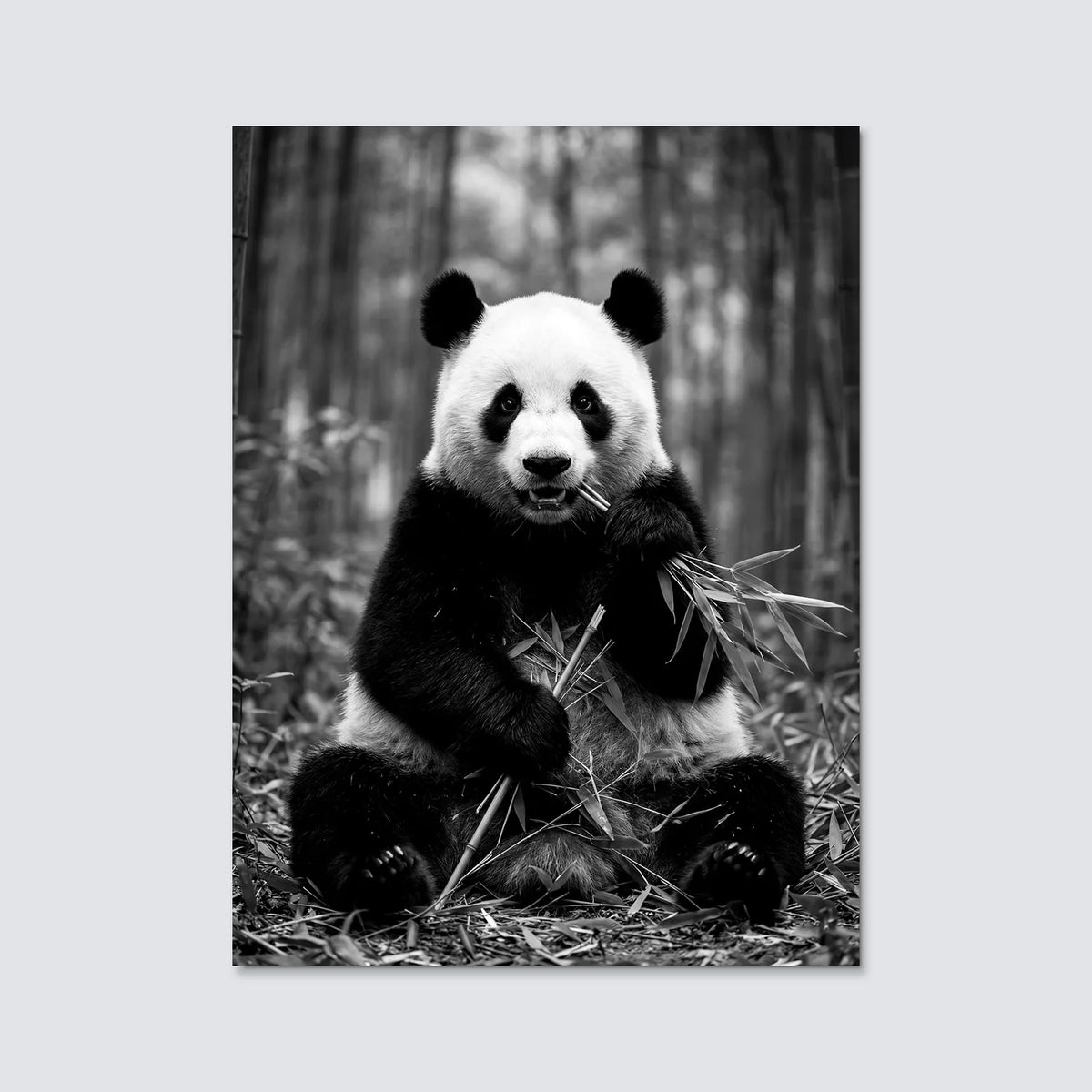 Tableau Panda Sauvage N&B | en Métal Format A3