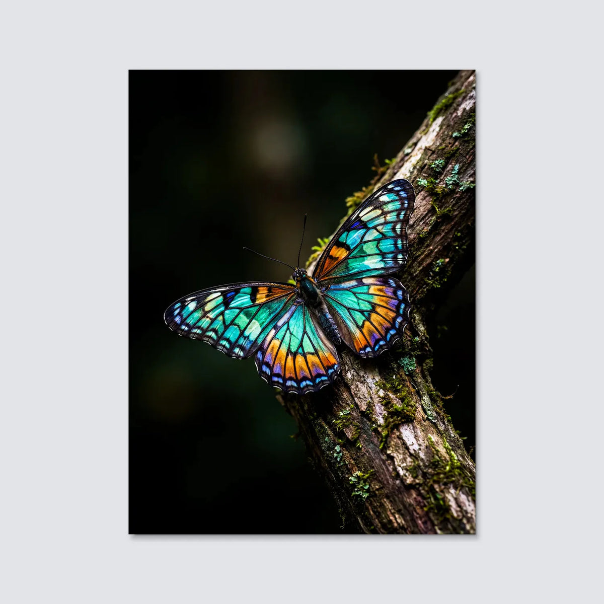 Tableau Papillon Émeraude | en Métal Format A3
