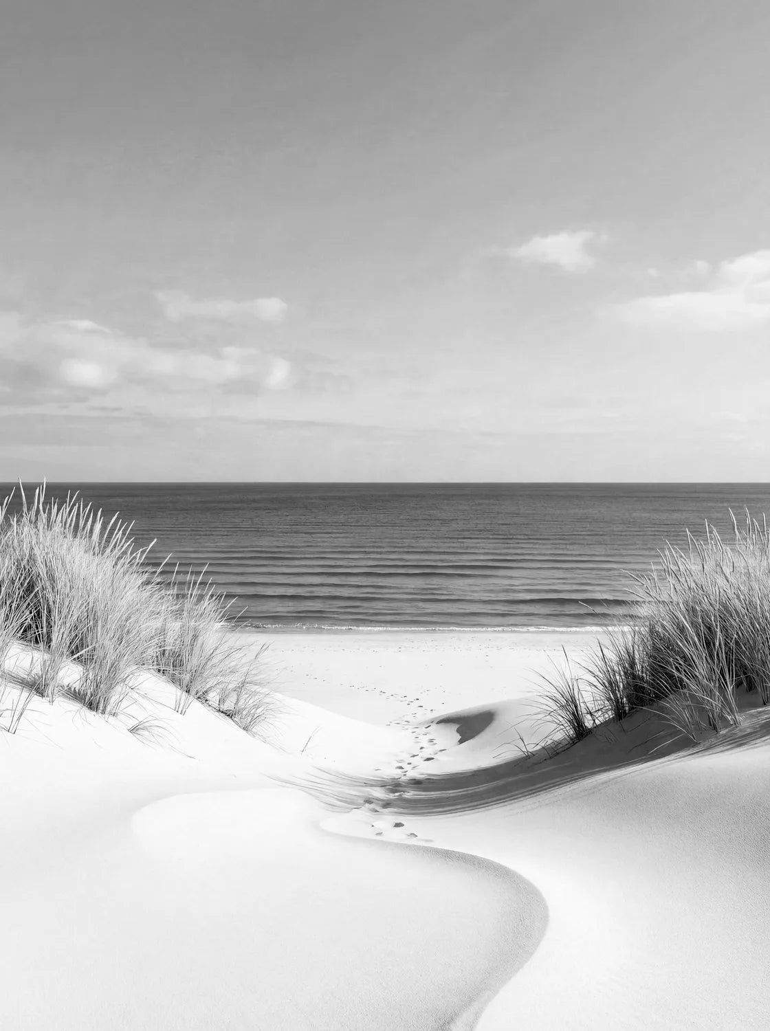 Tableau Plage de sable blanc N&B | en Métal Format A3