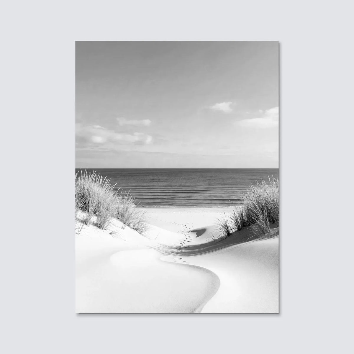 Tableau Plage de sable blanc N&B | en Métal Format A3