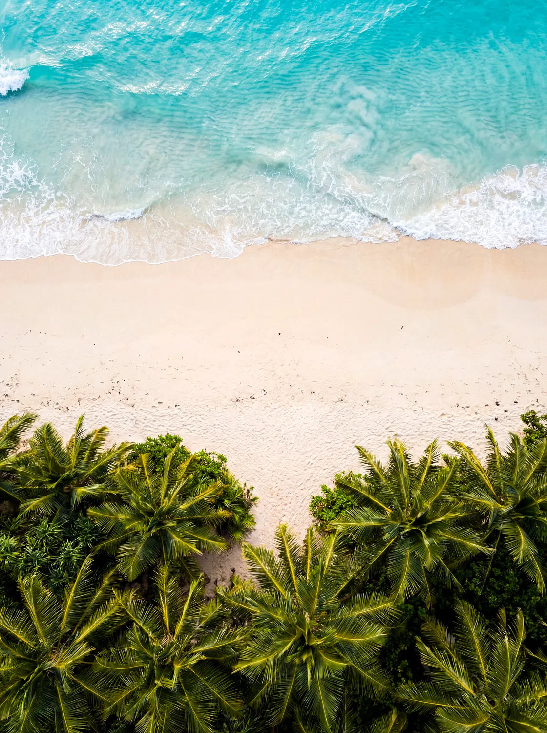 Tableau Plage et Forêt | en Métal Format A3