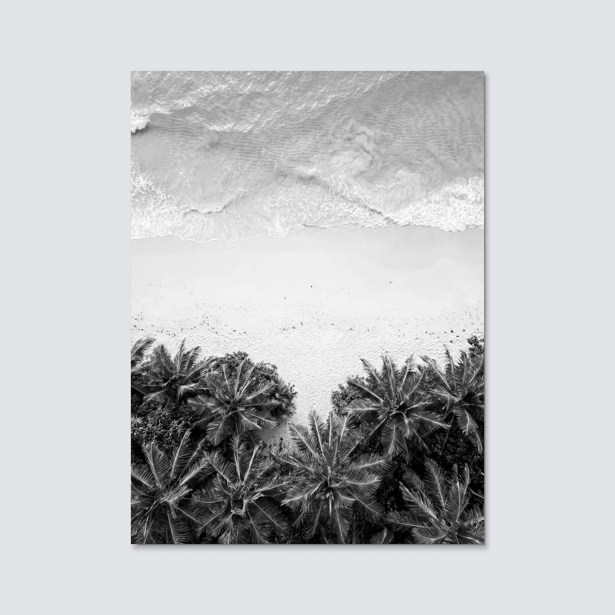 Tableau Plage et Forêt N&B | en Métal Format A3