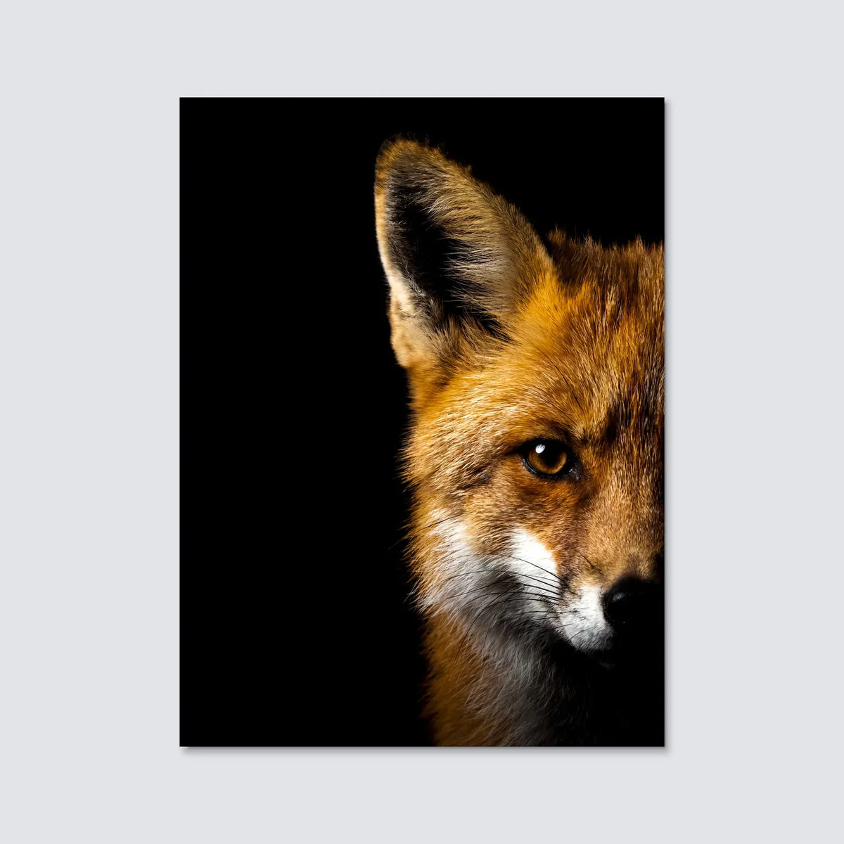 Tableau Portrait de Renard | en Métal Format A3