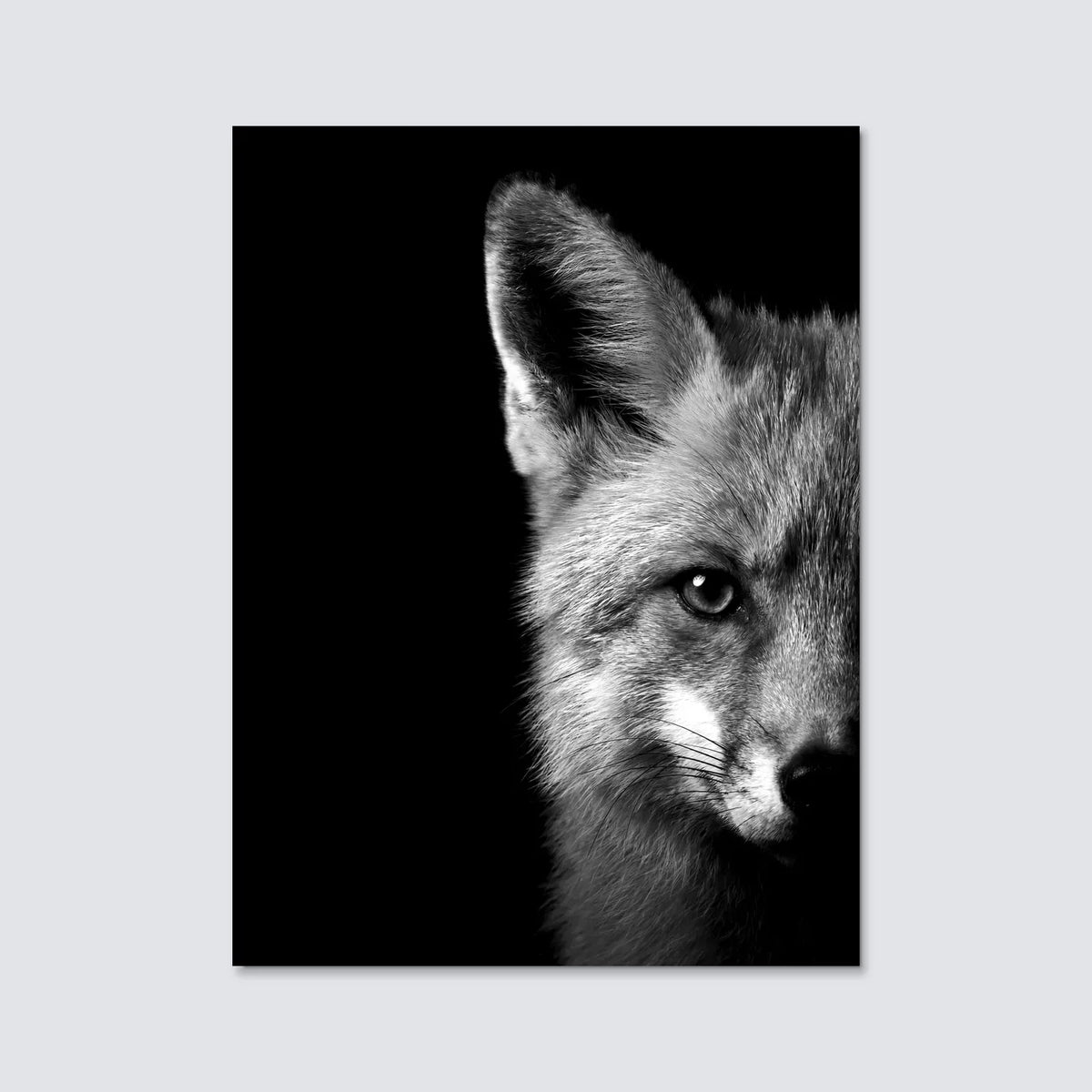 Tableau Portrait de Renard N&B | en Métal Format A3