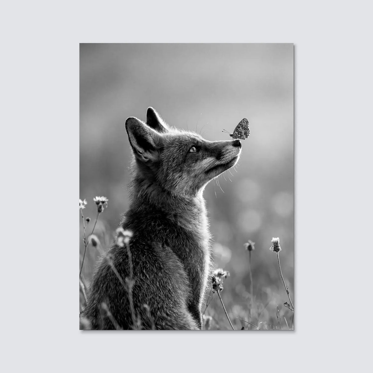 Tableau Renard et Papillon N&B | en Métal Format A3