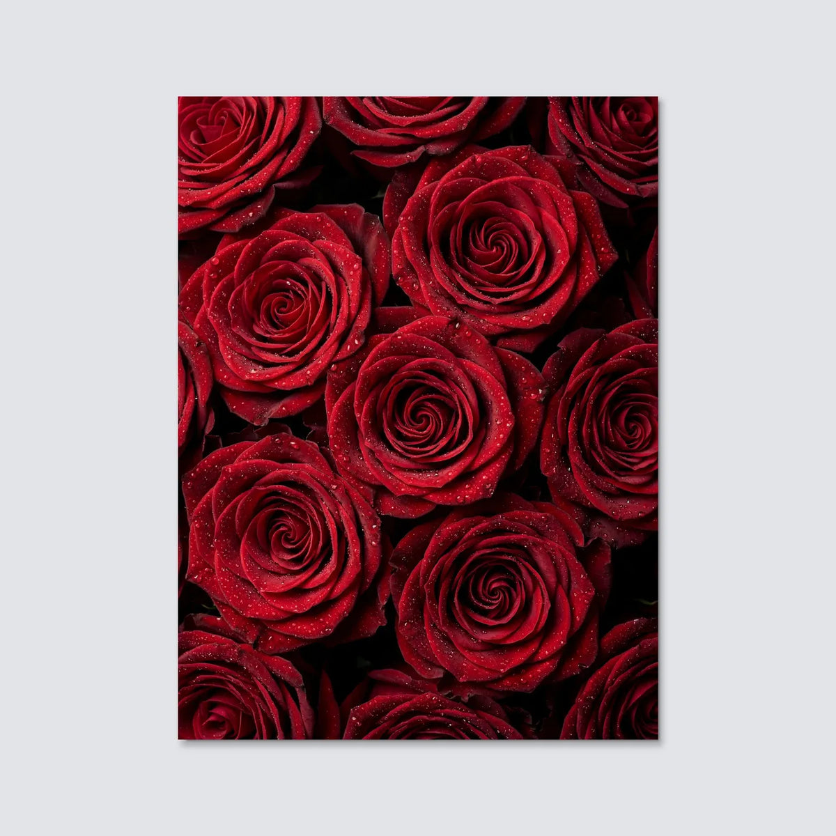 Tableau Roses rouges | en Métal Format A3