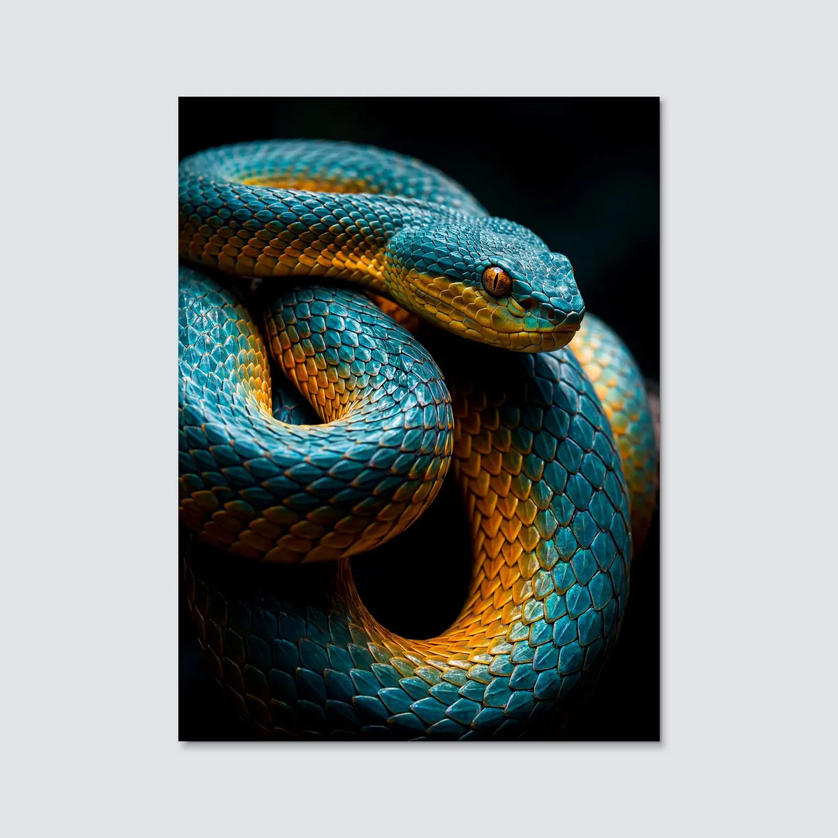 Tableau Serpent Royal | en Métal Format A3