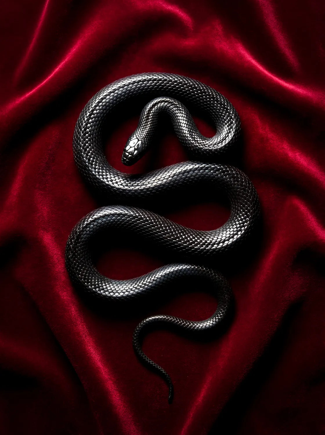 Tableau Serpent Velours | en Métal Format A3