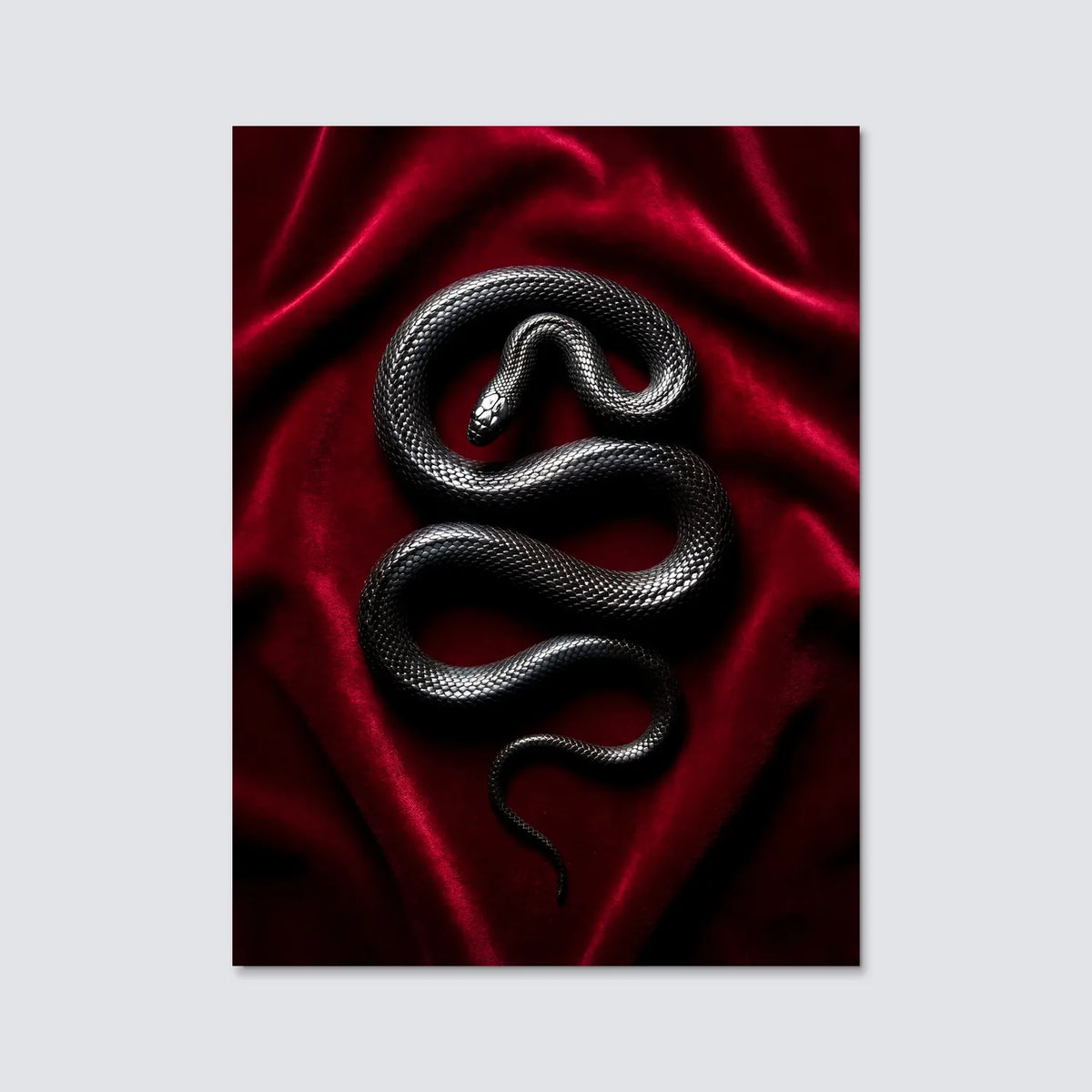 Tableau Serpent Velours | en Métal Format A3