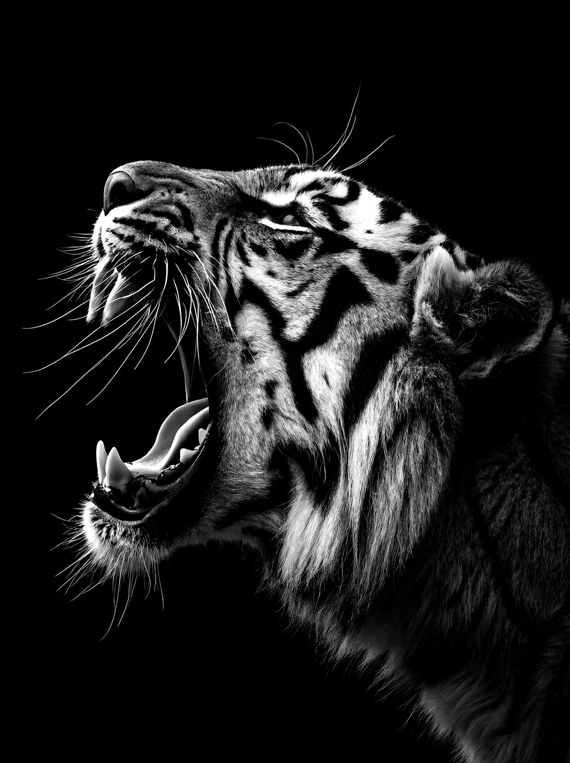 Tableau Tigre Rugissant | en Métal Format A3