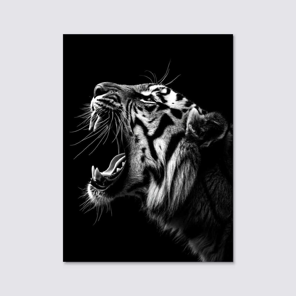 Tableau Tigre Rugissant | en Métal Format A3